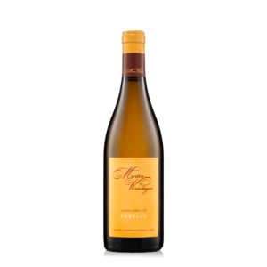 Martín Verástegui Godello